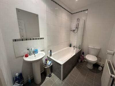 Picture 8